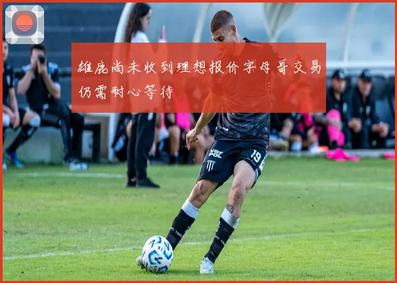 雄鹿尚未收到理想报价字母哥交易仍需耐心等待