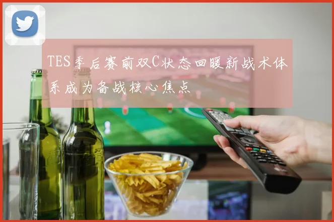 TES季后赛前双C状态回暖新战术体系成为备战核心焦点