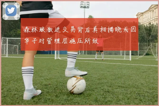 森林狼激进交易背后真相揭晓或因华子对管理层施压所致